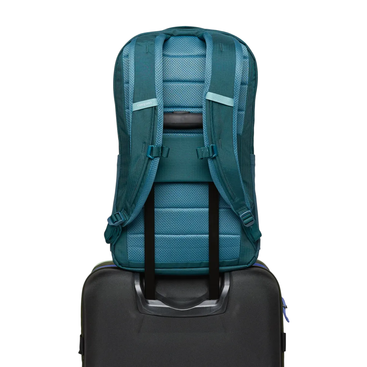 Allpa 26L Daypack