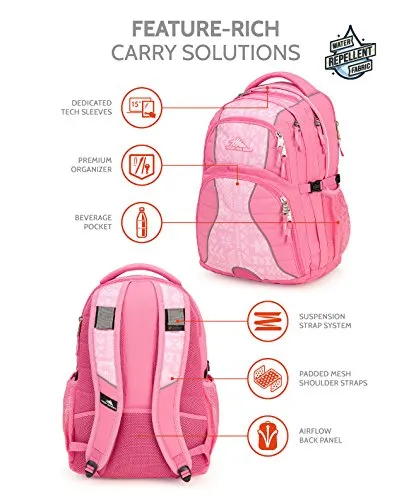 High Sierra Swerve Backpack