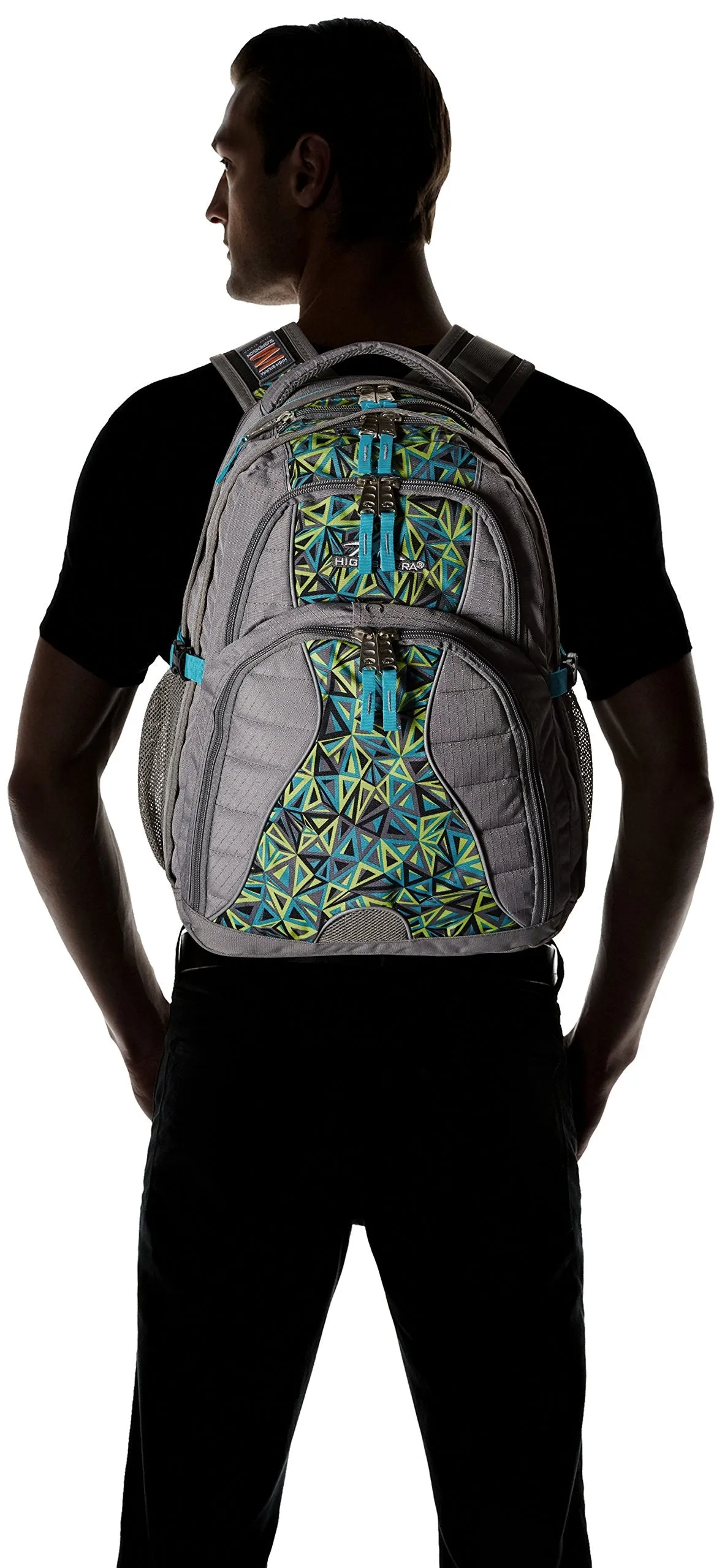 High Sierra Swerve Backpack