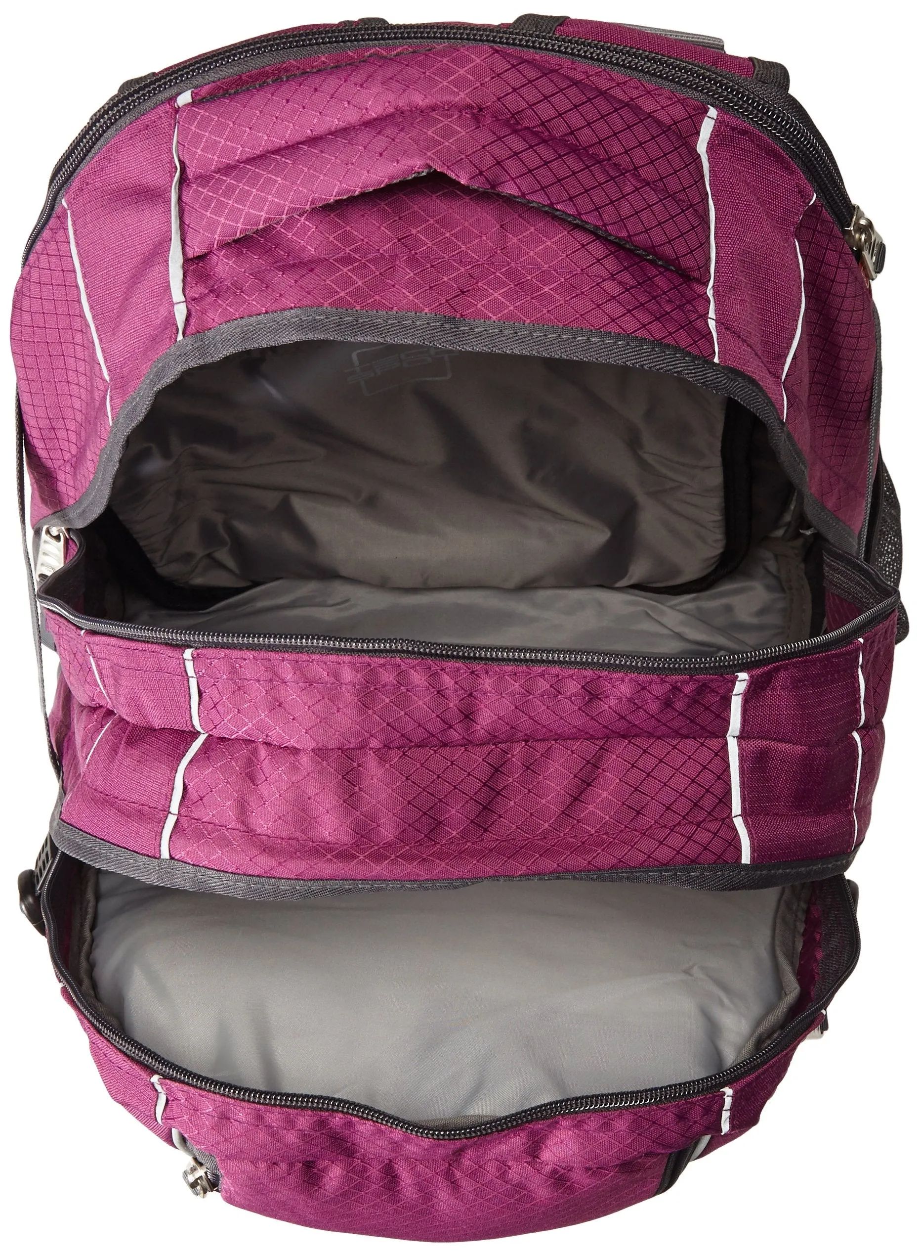 High Sierra Swerve Backpack