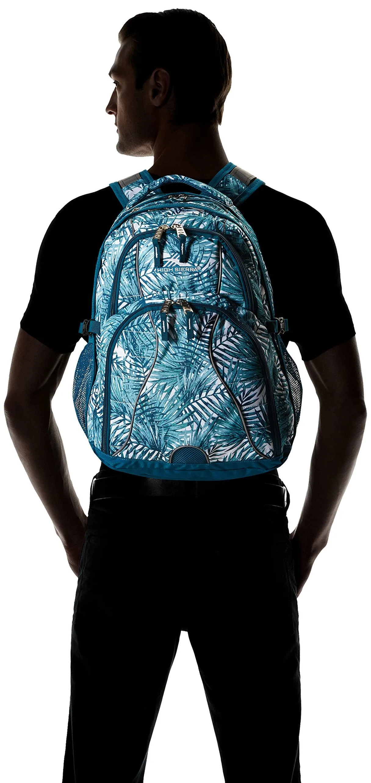 High Sierra Swerve Backpack