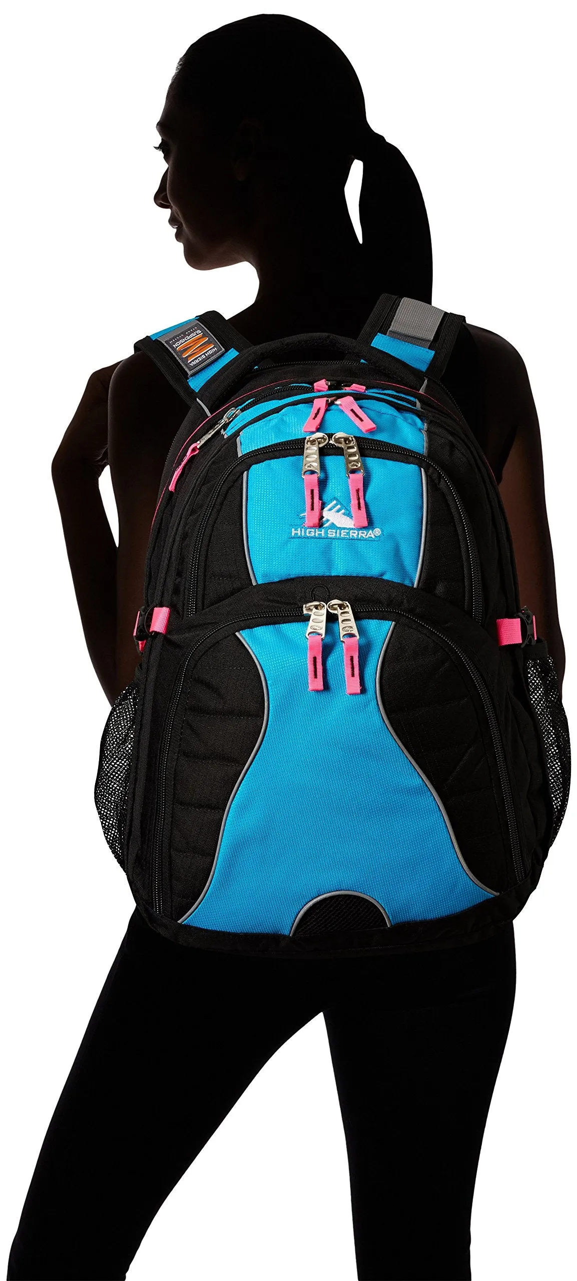 High Sierra Swerve Backpack