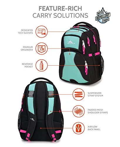 High Sierra Swerve Backpack