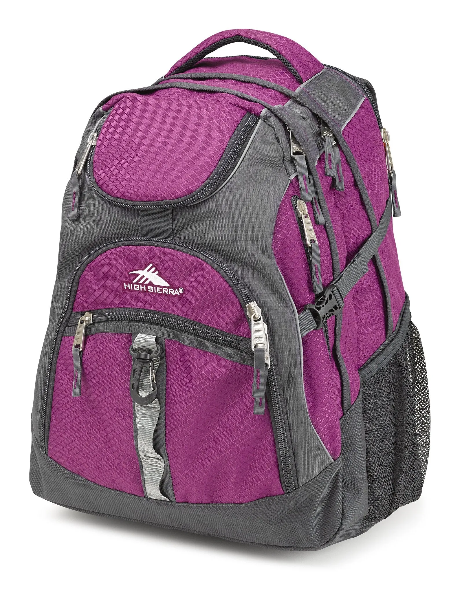 High Sierra Swerve Backpack