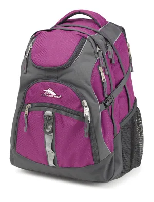 High Sierra Swerve Backpack