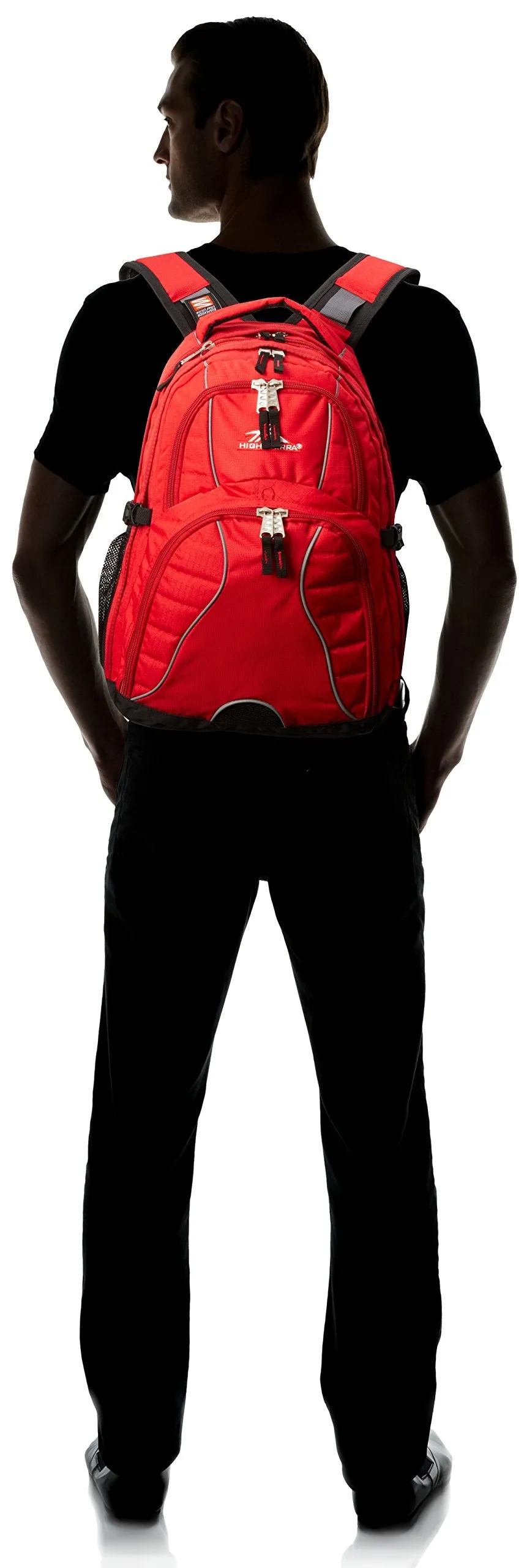 High Sierra Swerve Backpack