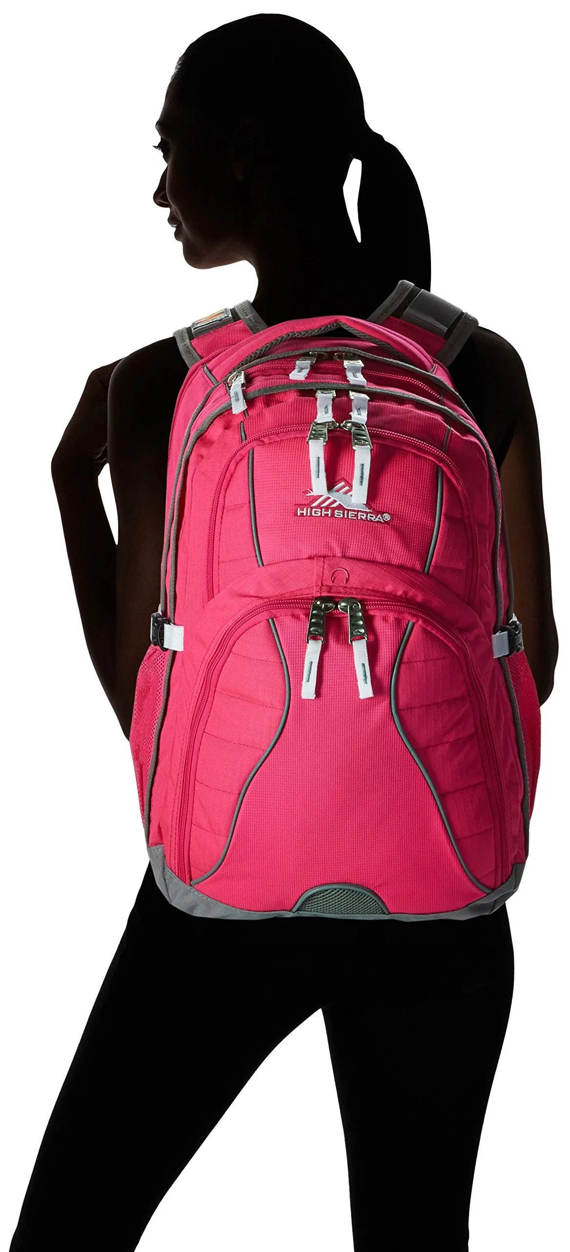 High Sierra Swerve Backpack