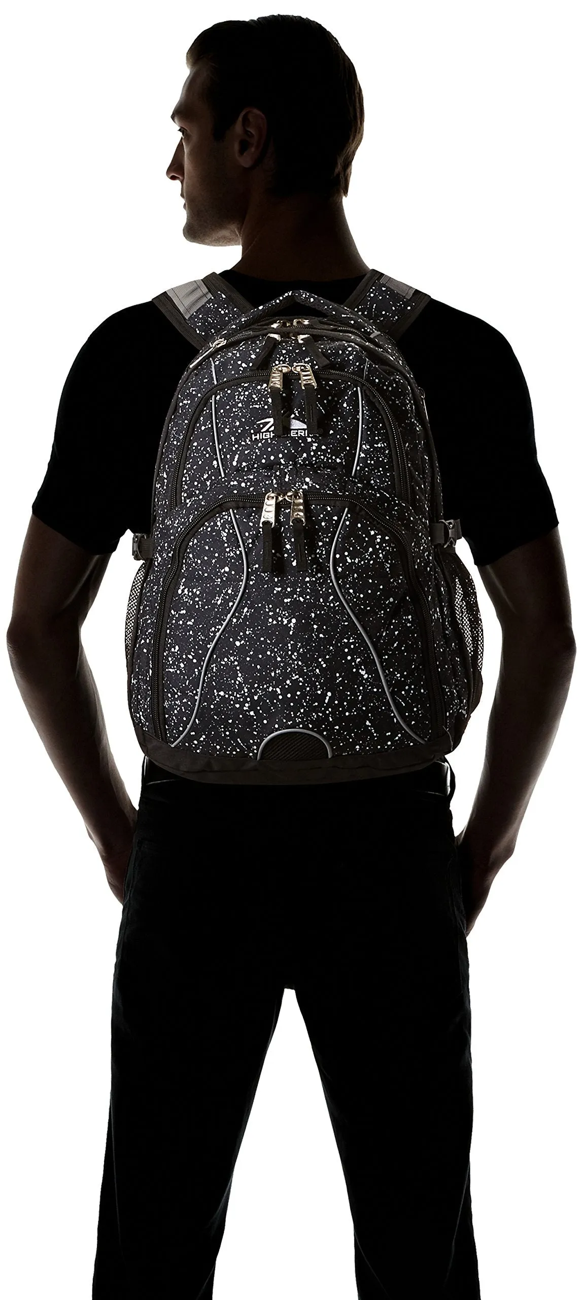 High Sierra Swerve Backpack