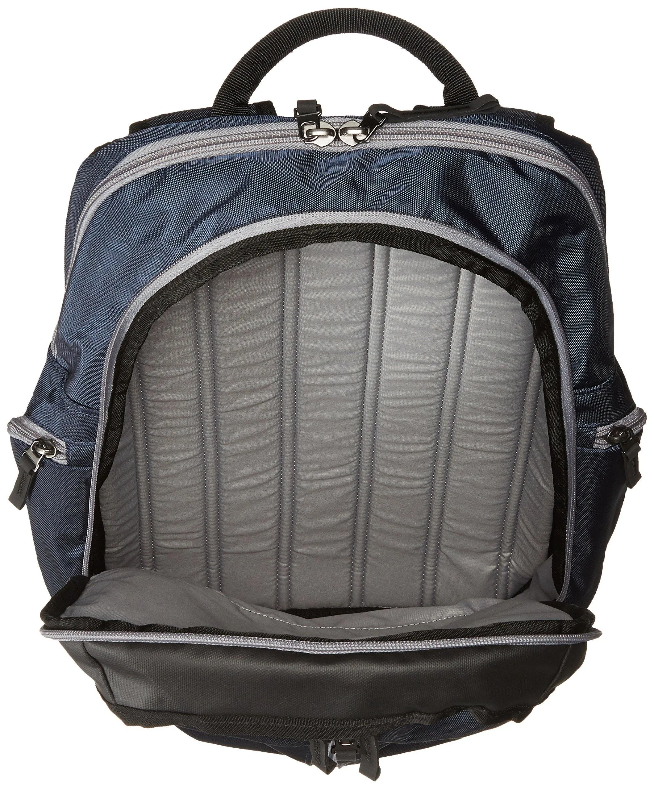 Victorinox Luggage Altmont 3.0 Deluxe Laptop Backpack
