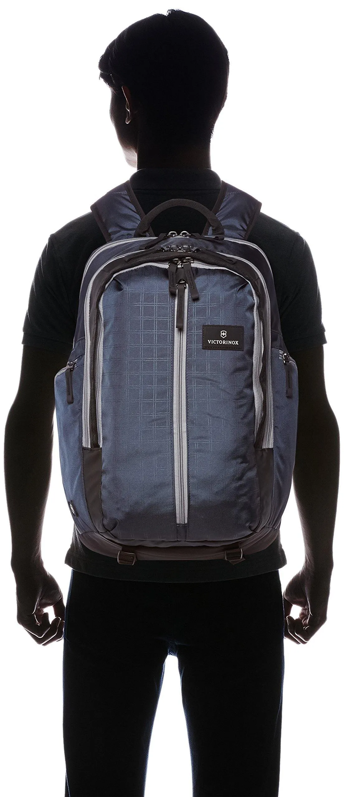 Victorinox Luggage Altmont 3.0 Deluxe Laptop Backpack