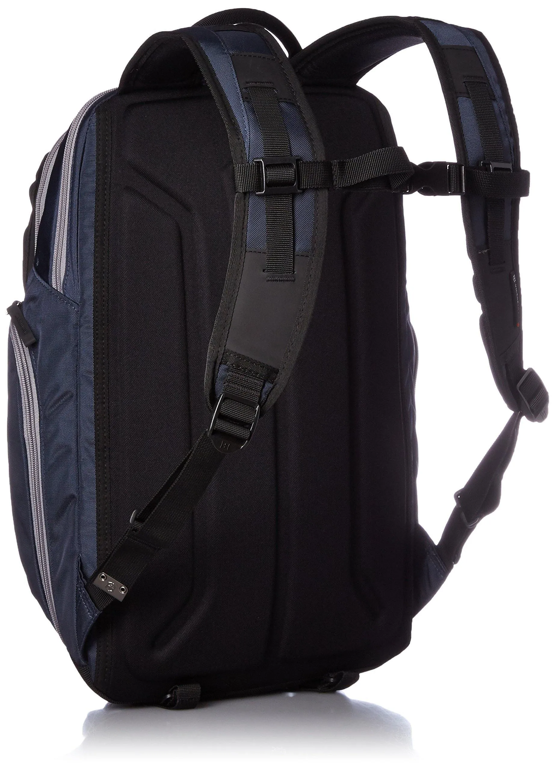 Victorinox Luggage Altmont 3.0 Deluxe Laptop Backpack